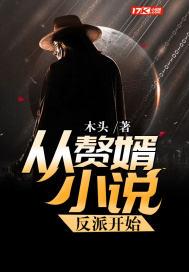 從贅婿小說反派開始封面