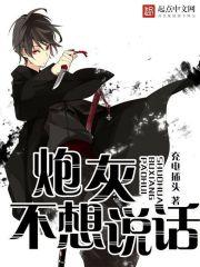 炮灰不想說話封面