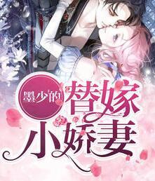 傅淼淼墨韻風封面