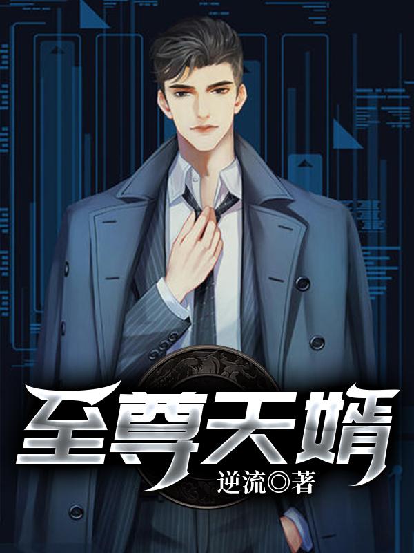 至尊天婿封面