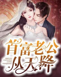 首富老公從天降封面