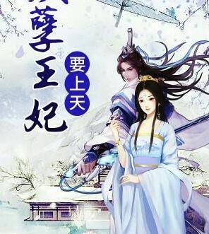 權(quán)寵王妃不消停封面