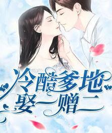 冷酷爹地娶一贈二封面