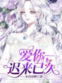 宋安念祁昇免費閱讀封面