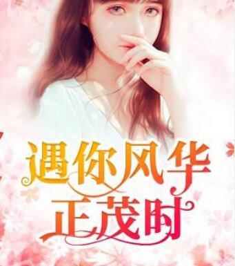 遇你風(fēng)華正茂時封面