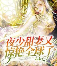 夜少甜妻又驚艷全球了封面