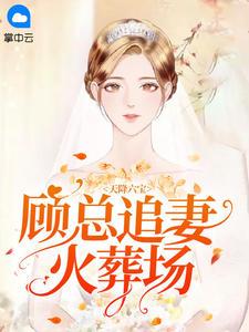 天降六寶：顧總追妻火葬場封面