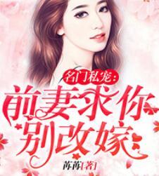 前妻別改嫁封面