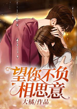 望你不負相思意封面