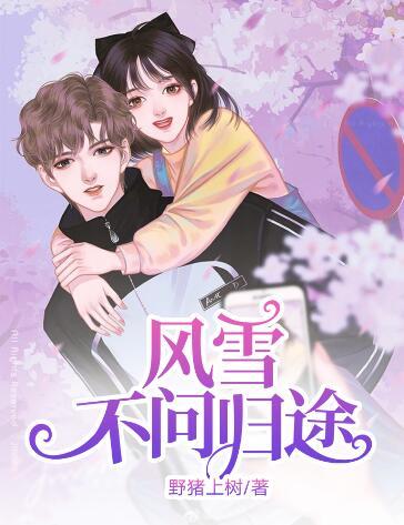風(fēng)雪不問歸途小說封面