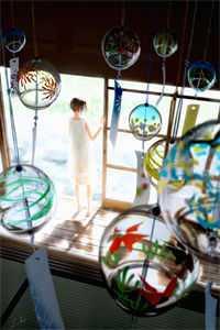 鳳傾九重素婉大結(jié)局封面