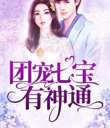 顧婉陸夜寒封面