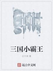 三國(guó)小霸王封面