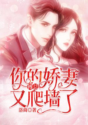 傅總你的嬌妻又爬墻了小說封面