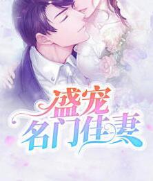 盛寵名門佳妻封面