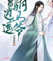 大唐：逍遙駙馬爺封面