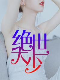 夏微微傅經(jīng)年全集封面