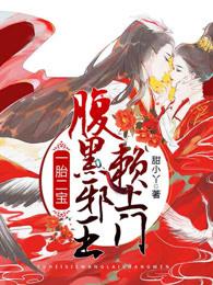 一胎二寶，腹黑邪王賴上門封面