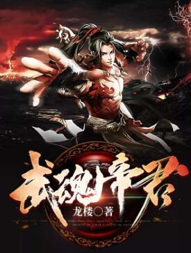 武魂帝君封面