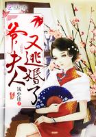 爺，夫人又逃婚了封面