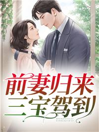 前妻歸來三寶駕到全文免費閱讀封面