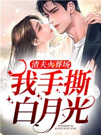 渣夫火葬場,我手撕白月光封面