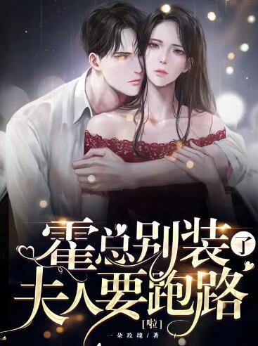 霍總別裝了，夫人要跑路啦封面