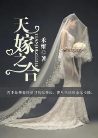 葉笙陸庭洲小說免費閱讀封面