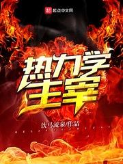 熱力學(xué)主宰封面