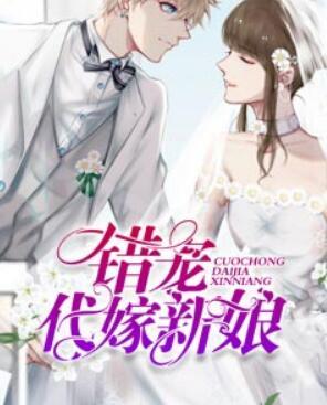 錯(cuò)寵代嫁新娘小說封面