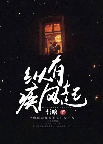 縱有疾風起封面