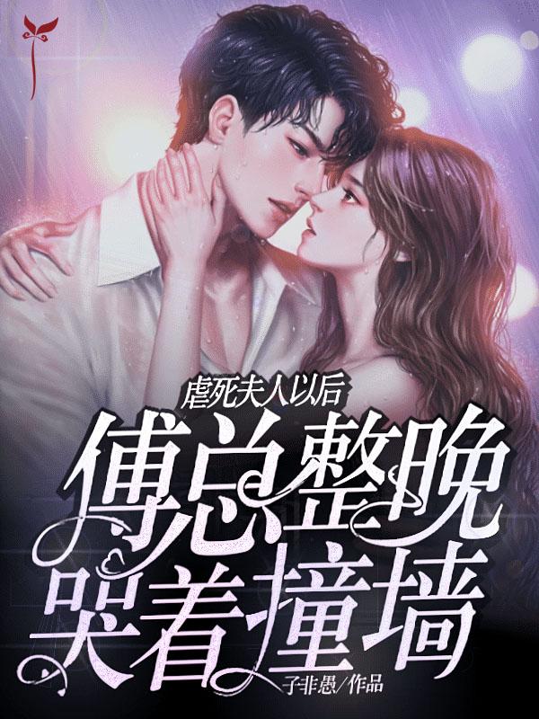 小說虐死夫人以后傅總整晚哭著撞墻封面