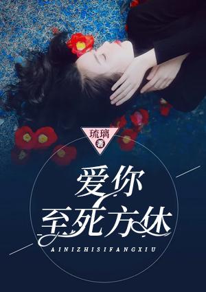 愛你至死方休封面