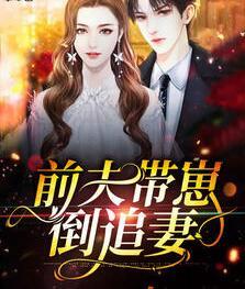 沈穎汐盛淮淵小說免費閱讀封面