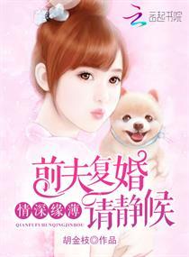 秦放許新雪封面