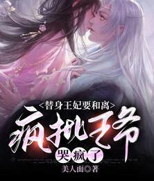 替身王妃要和離，瘋批王爺哭瘋了封面