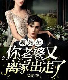 顧先生，你老婆又離家出走了封面