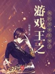 游戲王之我的怪獸是精靈封面