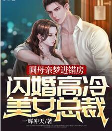 圓母親夢進(jìn)錯房，閃婚高冷美女總裁！封面