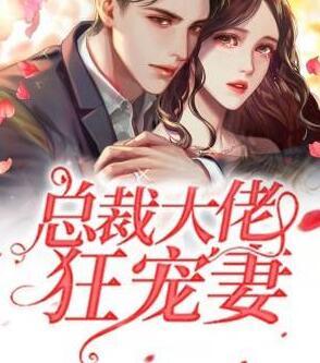 總裁大佬狂寵妻封面