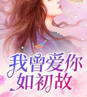 我曾愛你如初故封面