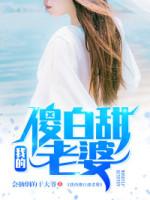 我不想繼承萬億家產(chǎn)（我怎么這么有錢(超級人生)（陳平江婉））封面