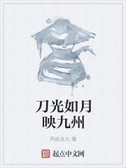 刀光如月映九州封面