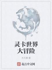 靈卡世界大冒險(xiǎn)封面