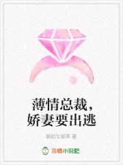 溫月聲傅臨遠小說叫什么封面