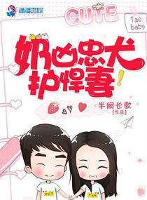 陸政軍江雨薇小說大結(jié)局封面