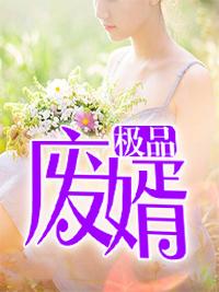 極品廢婿封面