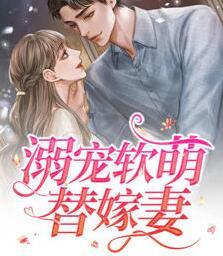 封遲琰和阮芽封面