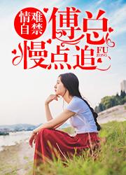 葉晴天秦鶴軒封面