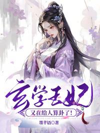 玄學(xué)王妃又在給人算卦了！封面